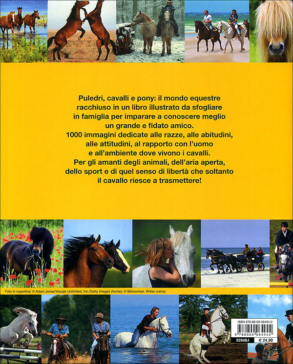 Immagine prodotto 2