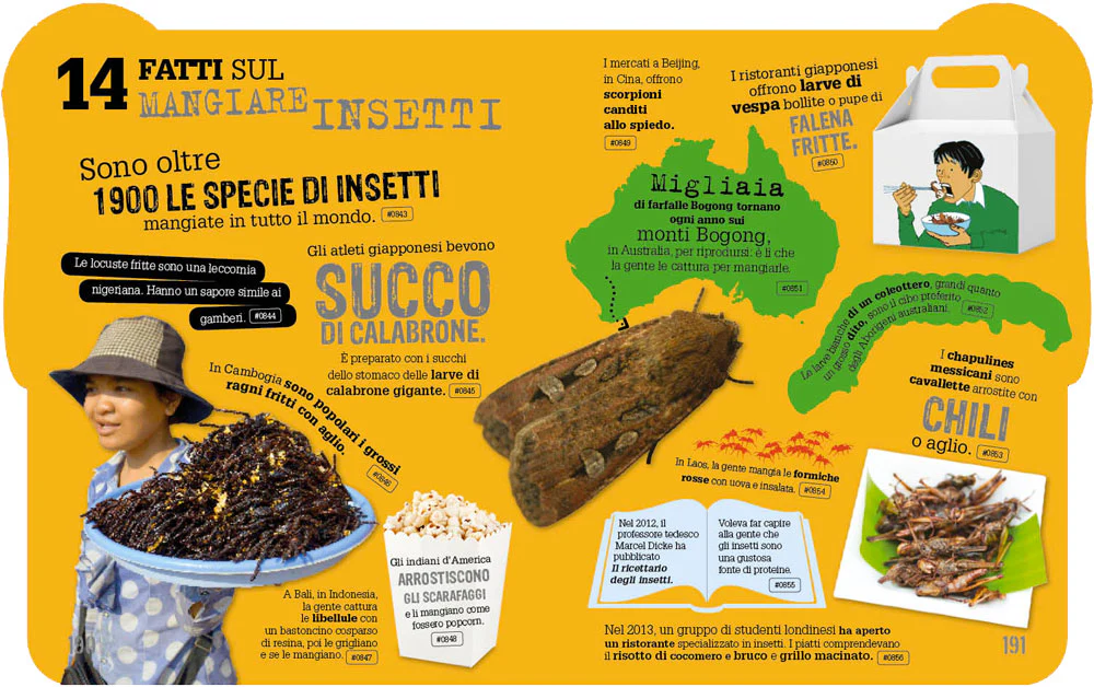 Immagine prodotto 3