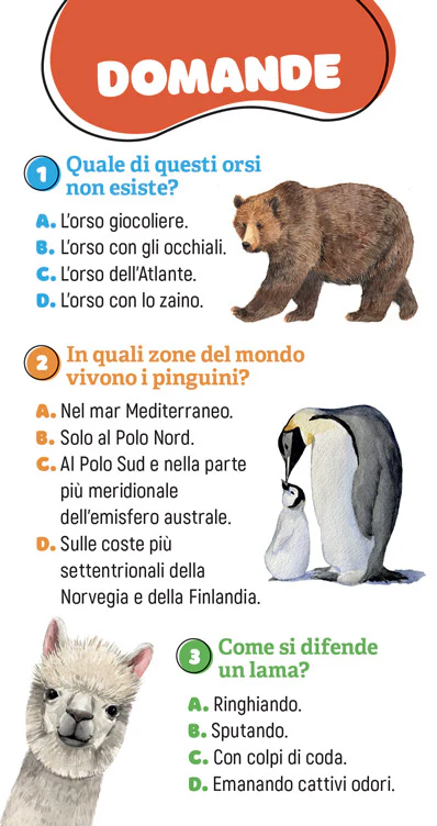 Immagine prodotto 3
