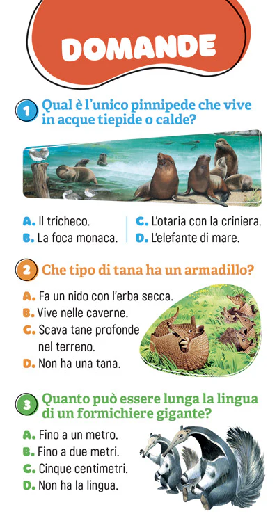Immagine prodotto 5