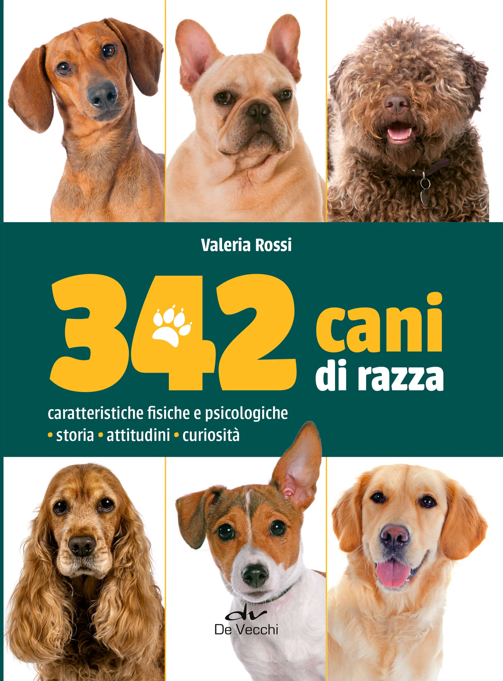 Immagine prodotto 1