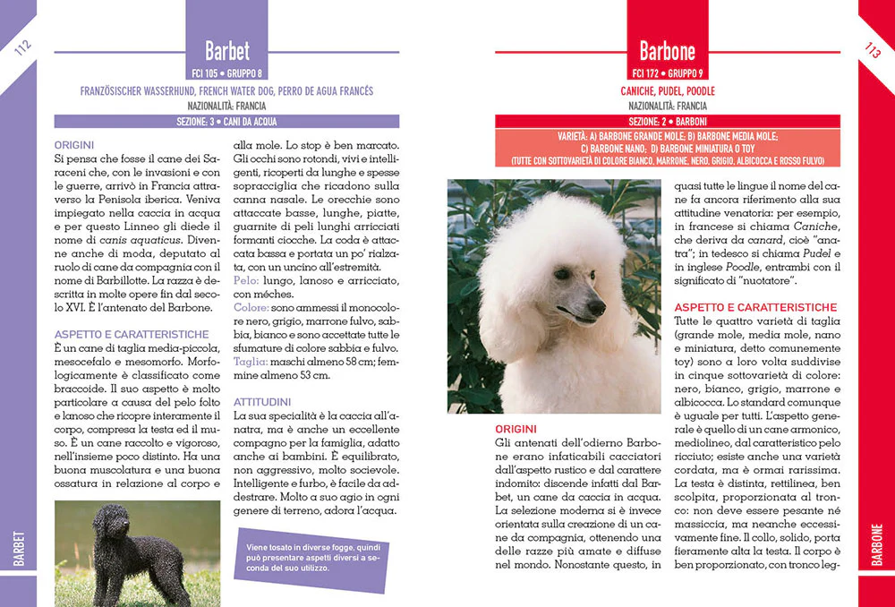 Immagine prodotto 4