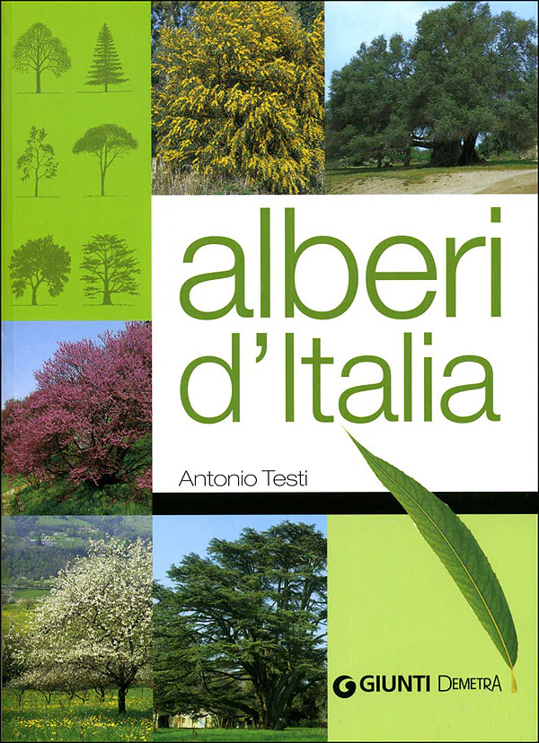 Immagine prodotto 1