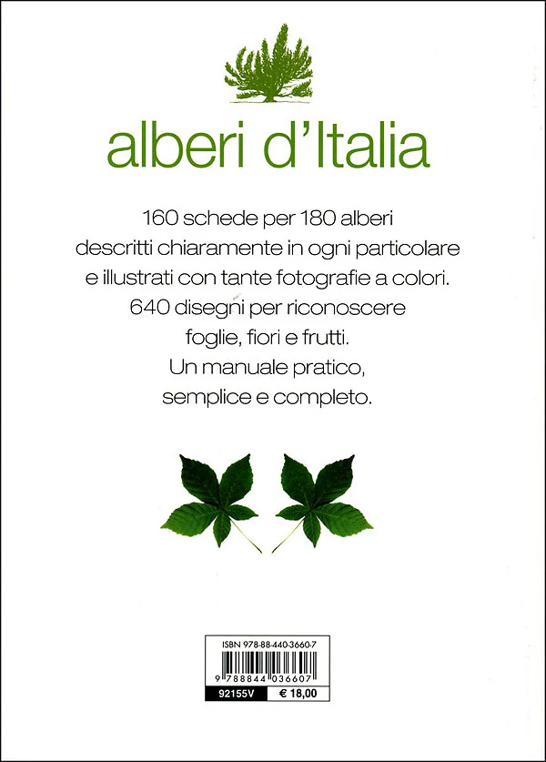 Immagine prodotto 2