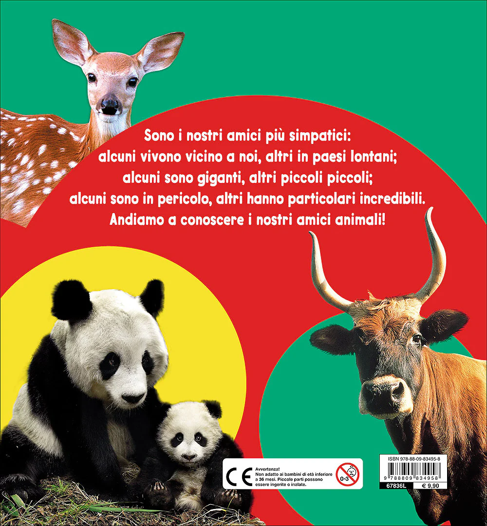 Immagine prodotto 2
