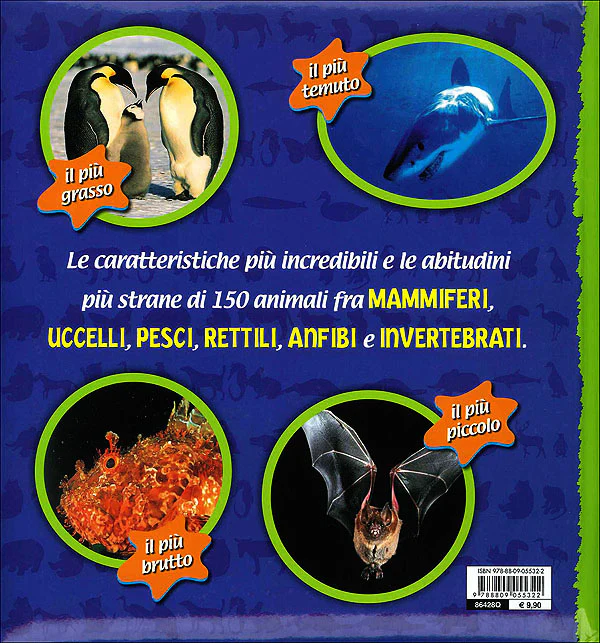 Immagine prodotto 2