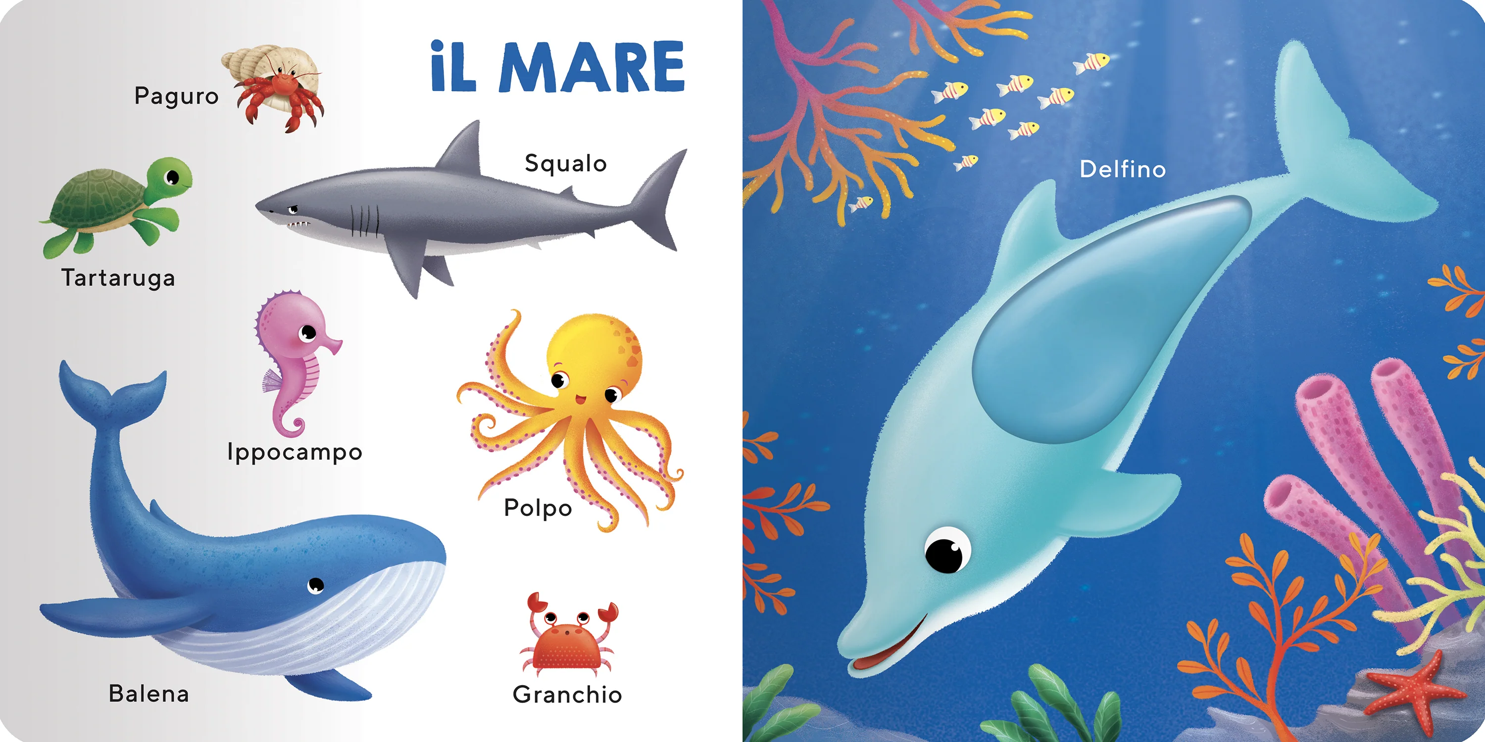 Immagine prodotto 3