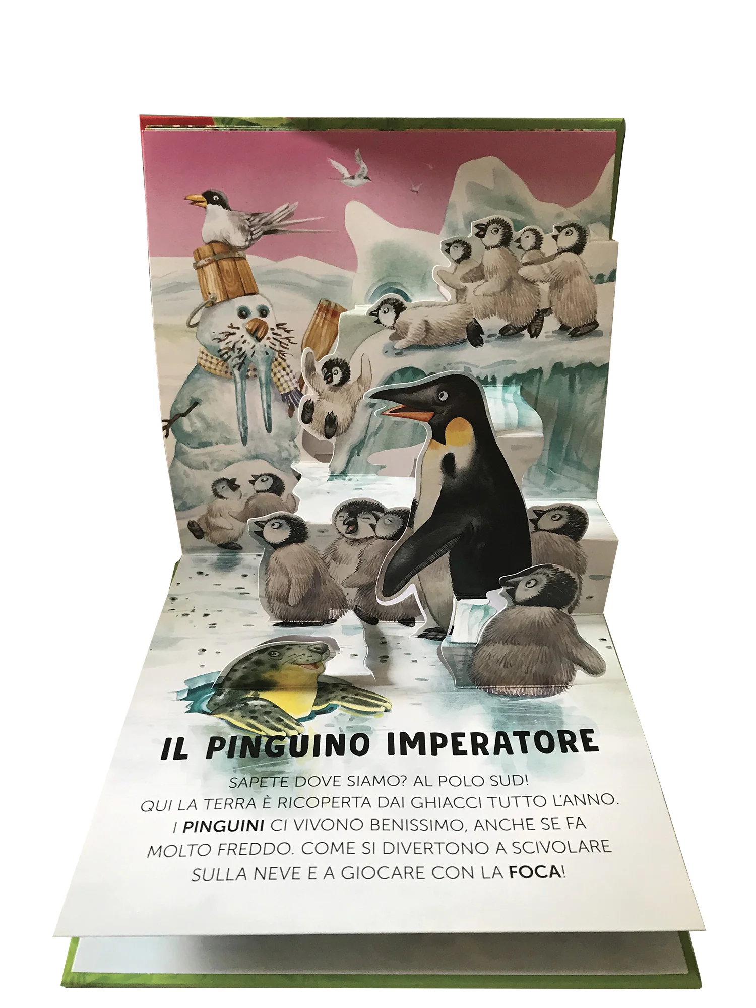 Immagine prodotto 5