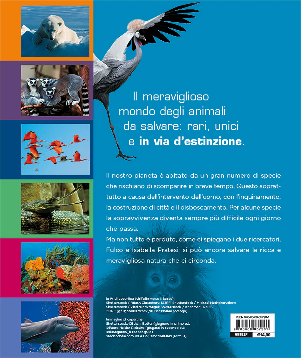 Immagine prodotto 2