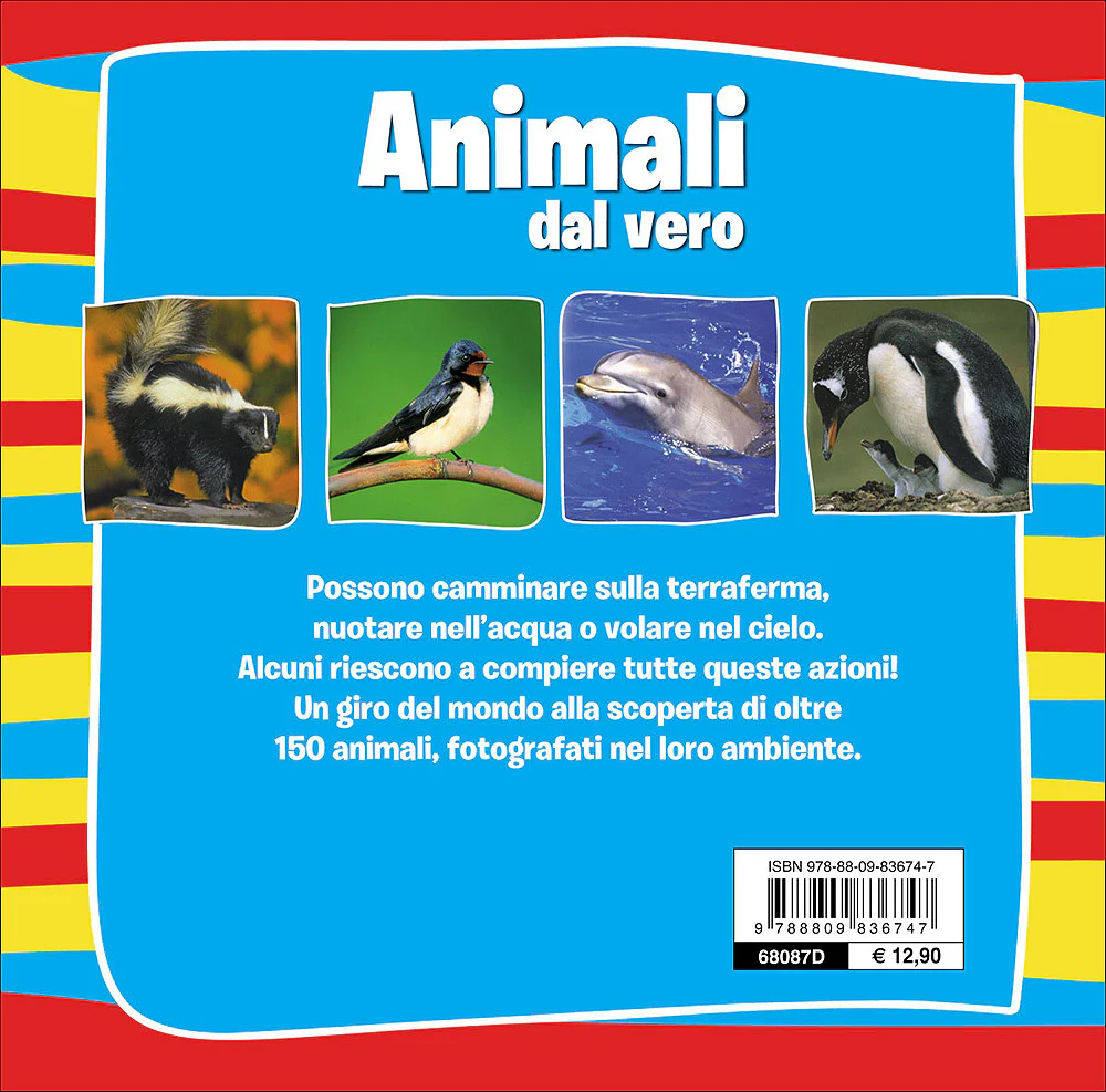Immagine prodotto 2