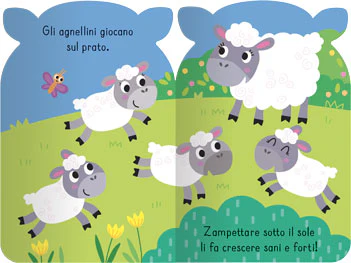Immagine prodotto 3