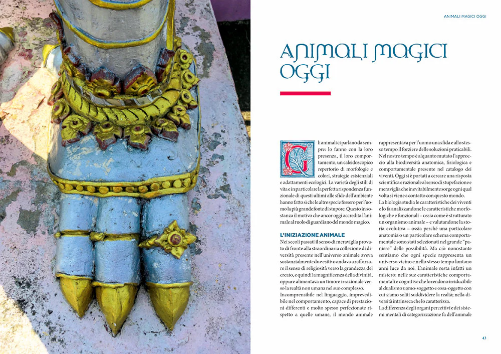 Immagine prodotto 3