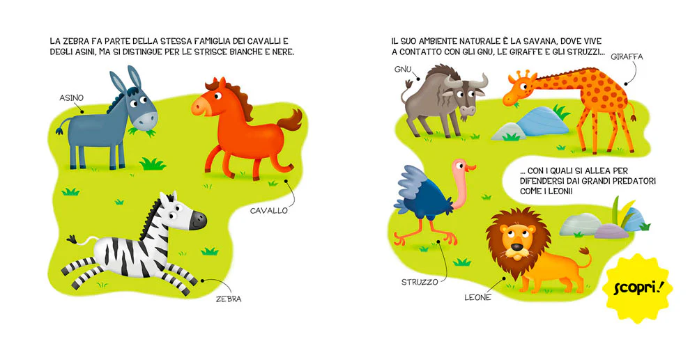 Immagine prodotto 4