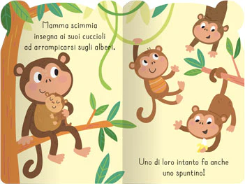 Immagine prodotto 4