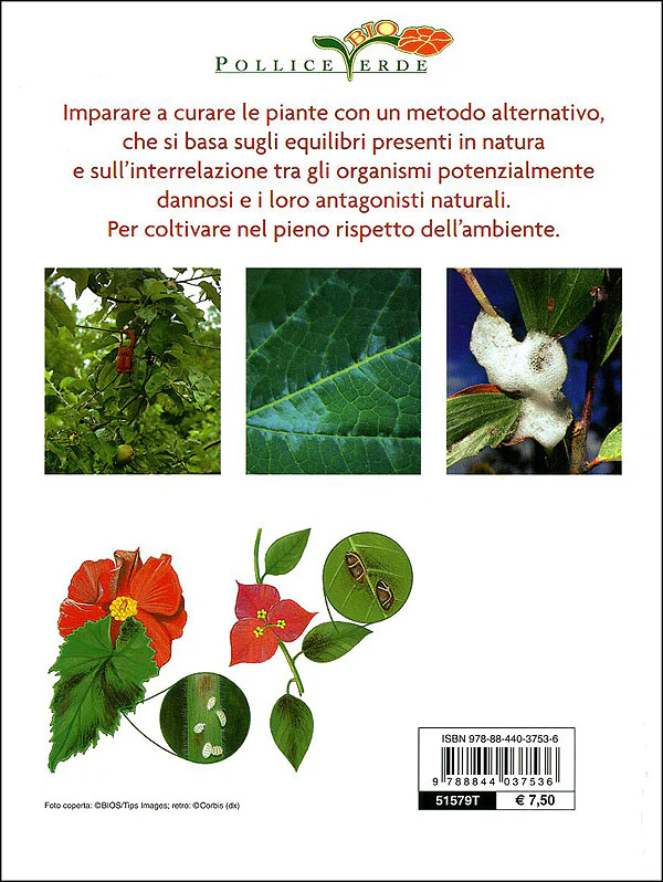 Immagine prodotto 2