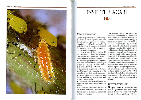 Immagine prodotto 3