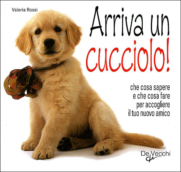 Immagine prodotto 1