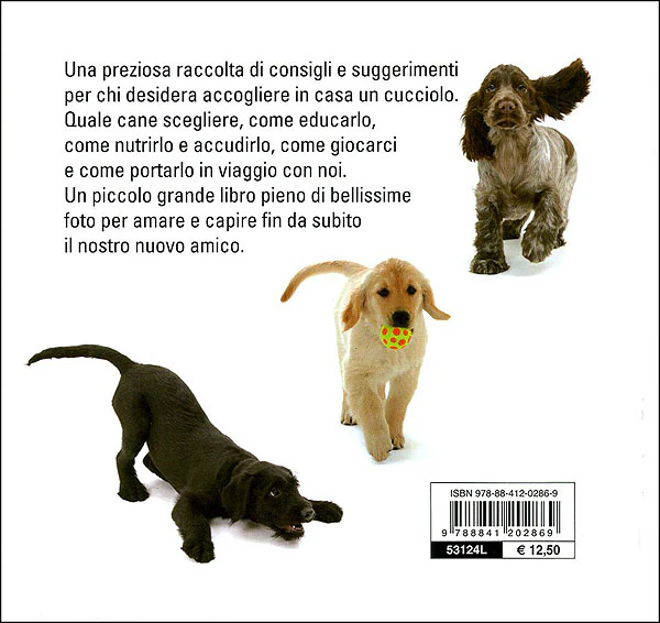 Immagine prodotto 2