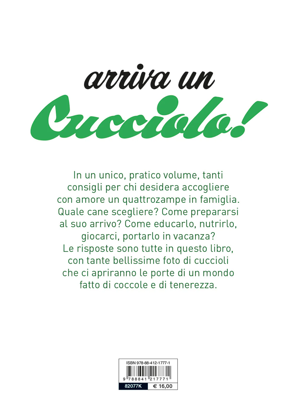 Immagine prodotto 2