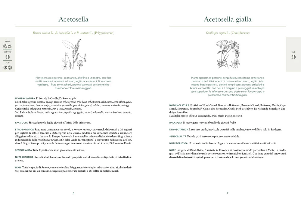 Immagine prodotto 3