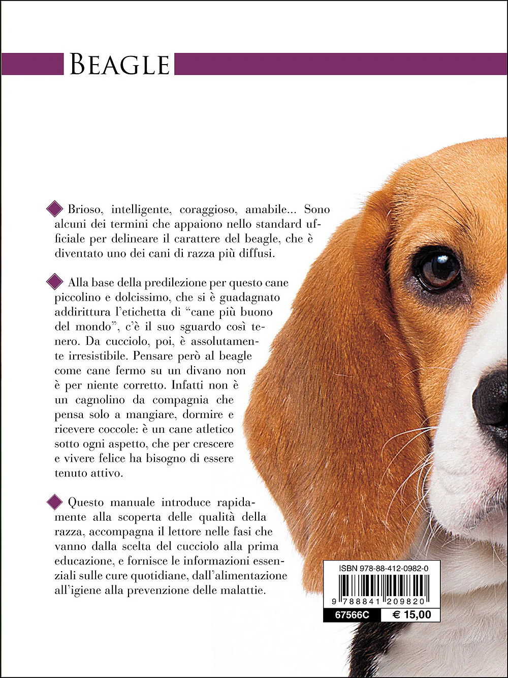 Immagine prodotto 2