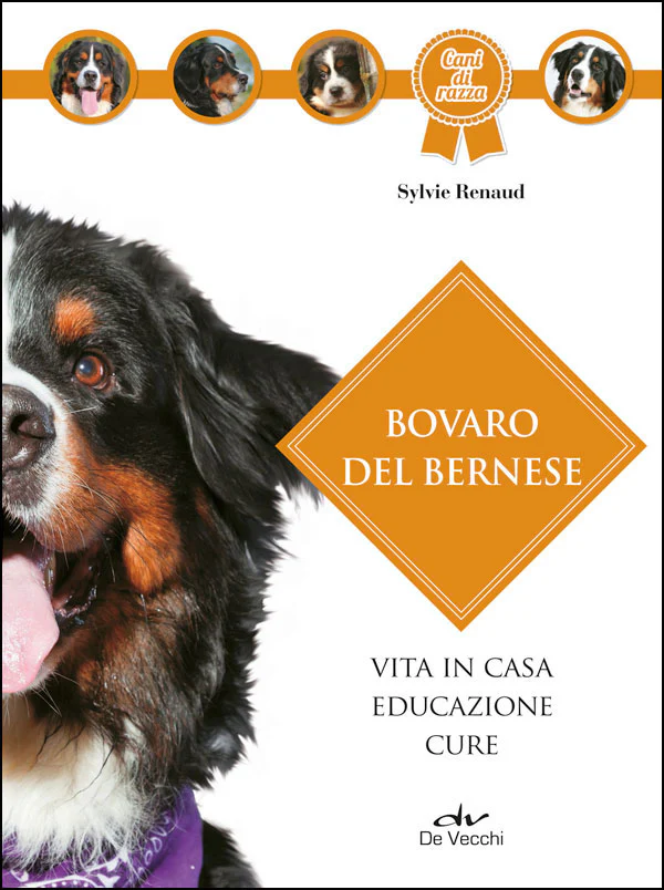 Immagine prodotto 1