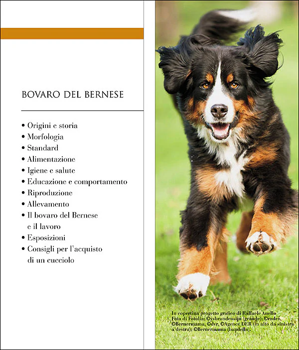 Immagine prodotto 3