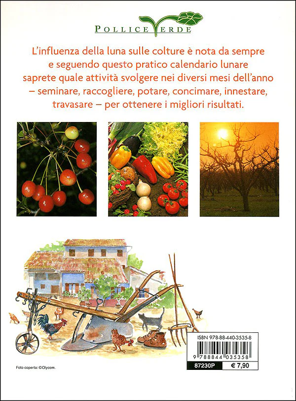 Immagine prodotto 2