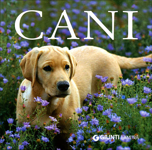 Immagine prodotto 1