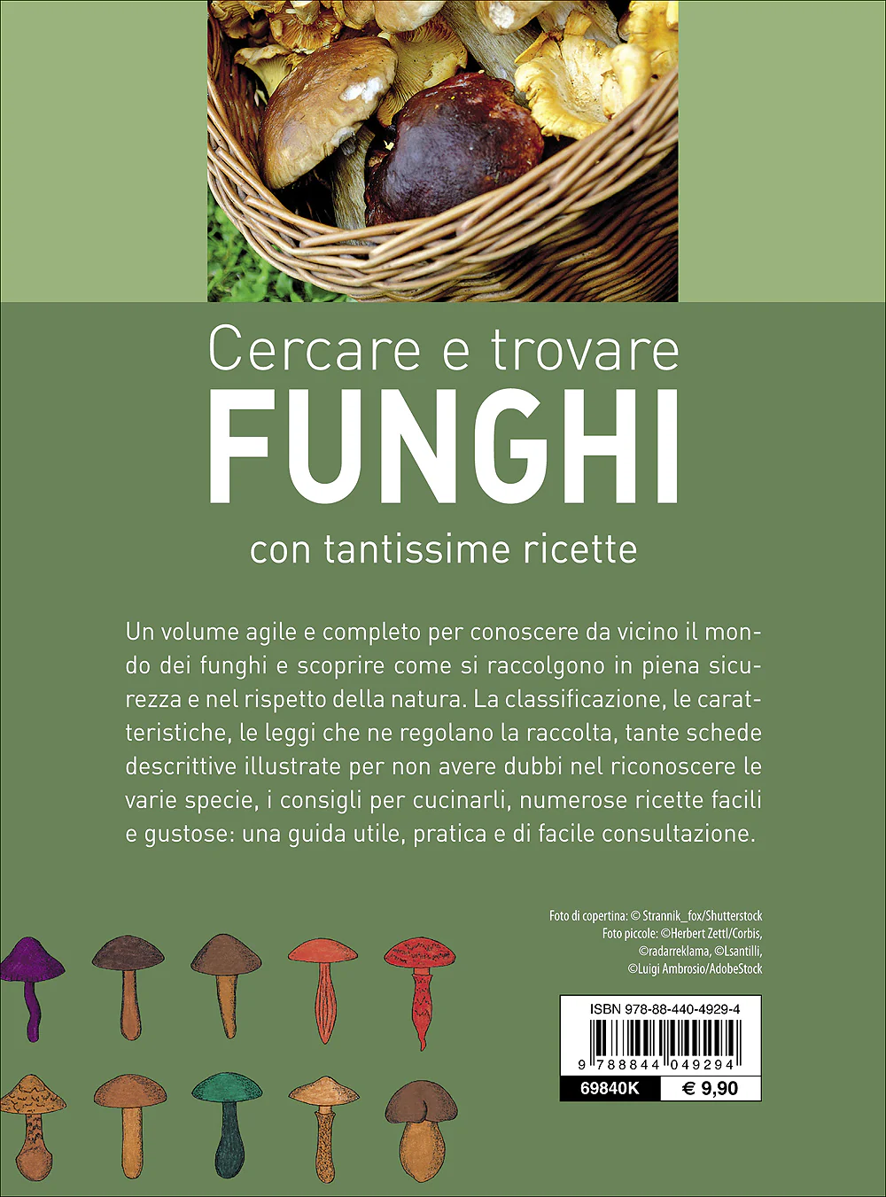 Immagine prodotto 2
