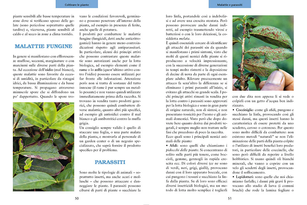 Immagine prodotto 4