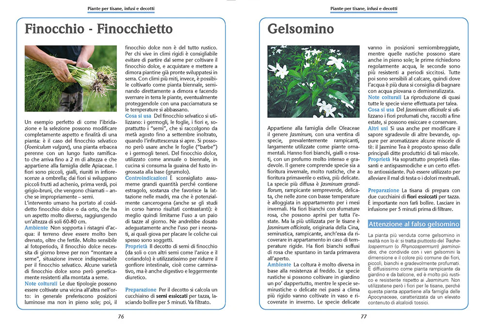 Immagine prodotto 5