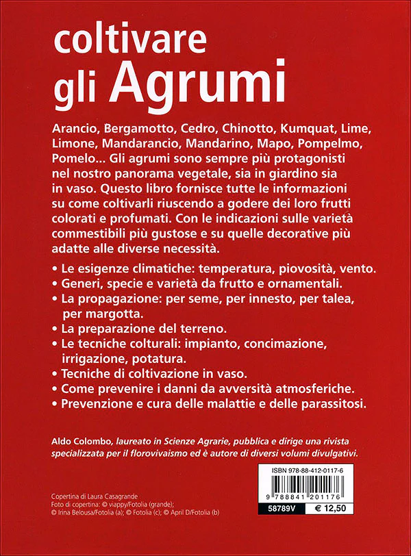 Immagine prodotto 2