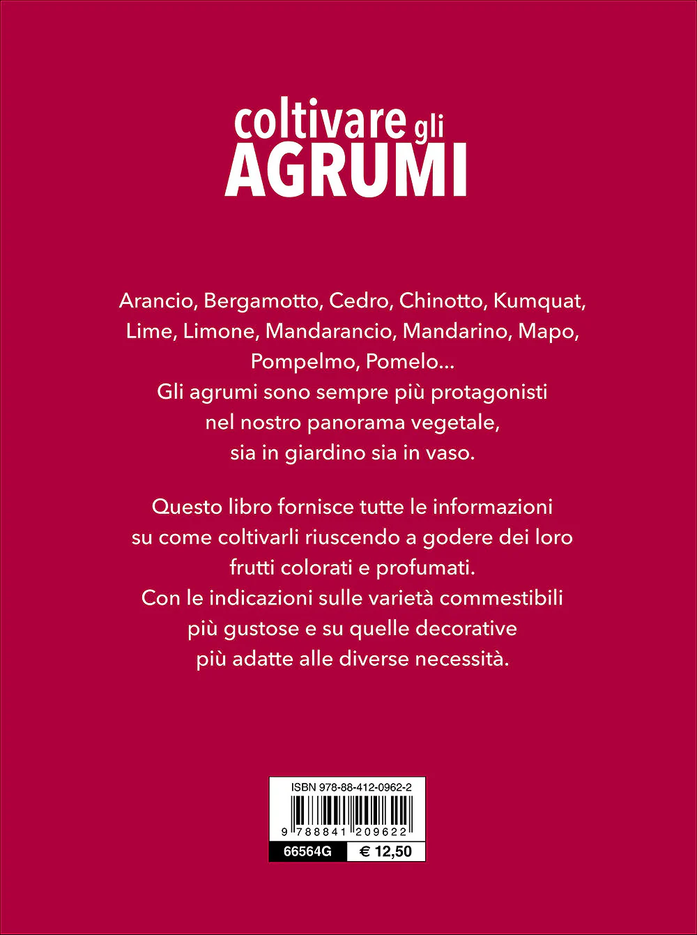 Immagine prodotto 2