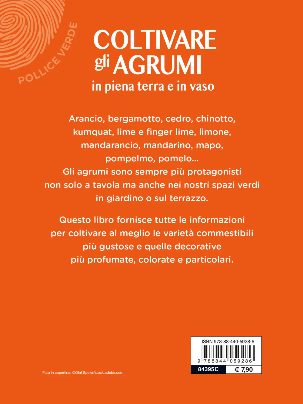 Immagine prodotto 2