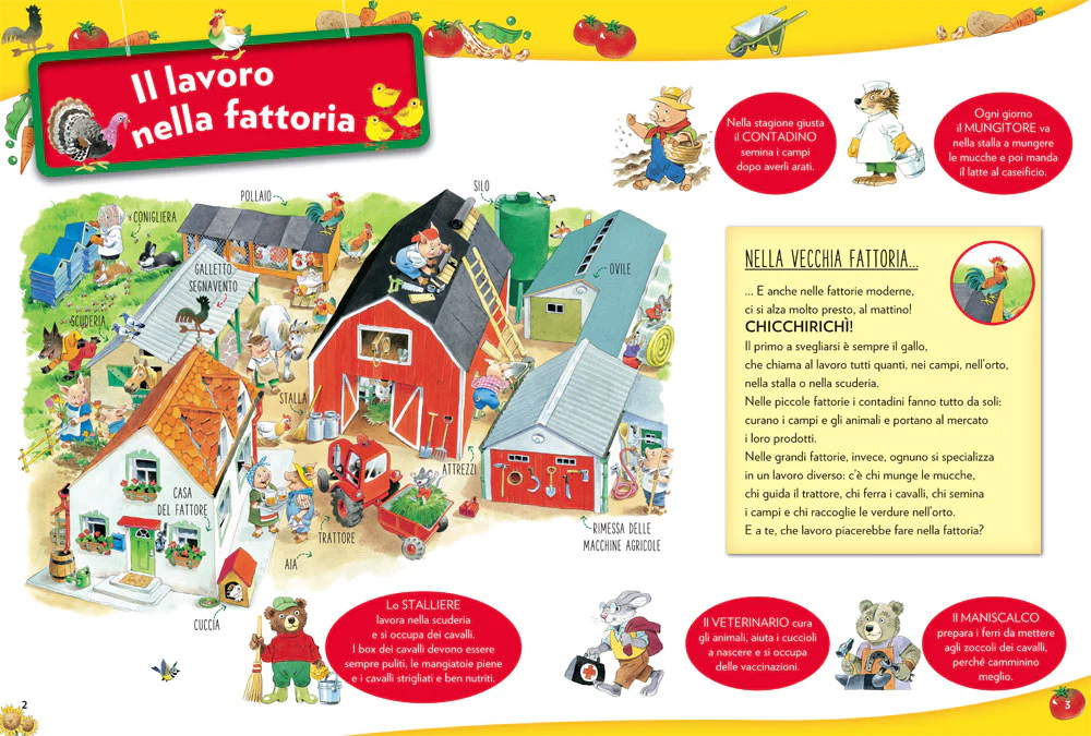 Immagine prodotto 3