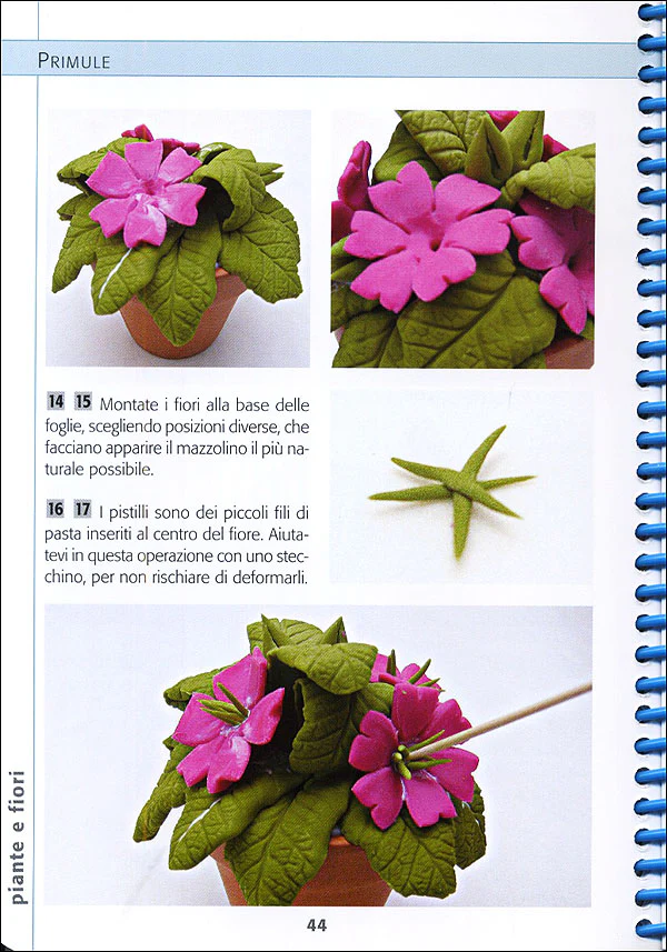 Immagine prodotto 5