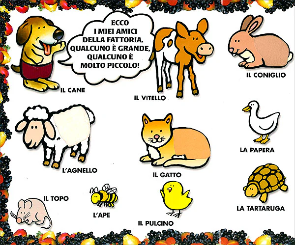 Immagine prodotto 3