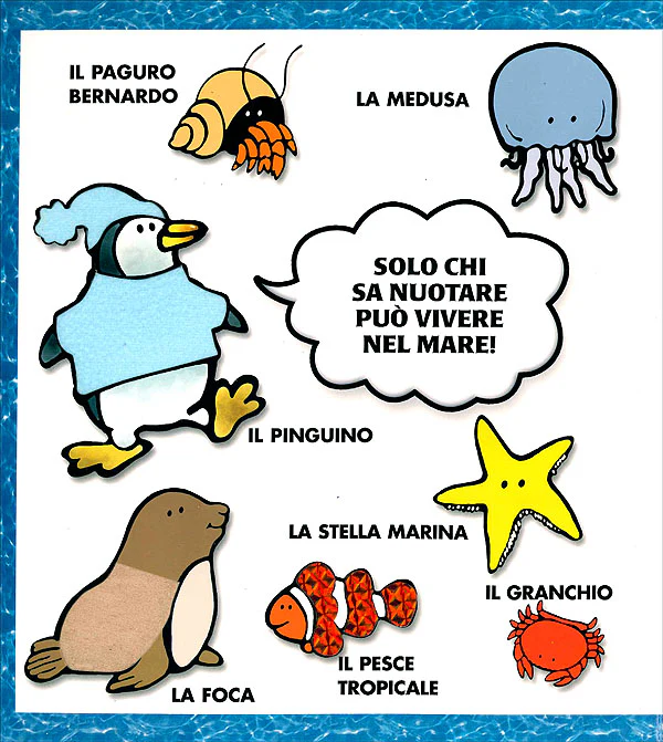 Immagine prodotto 5