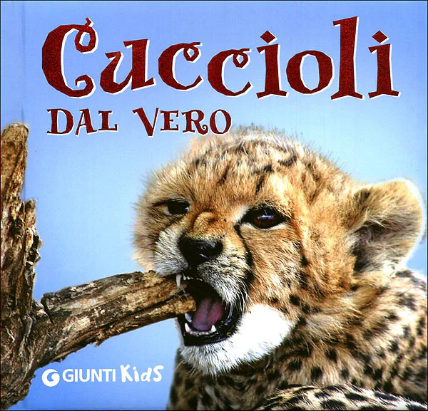 Immagine prodotto 1