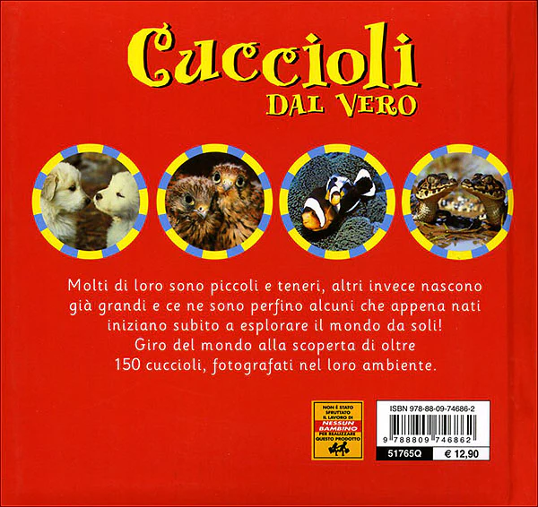 Immagine prodotto 2
