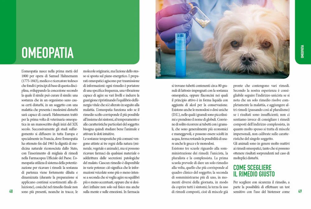 Immagine prodotto 3