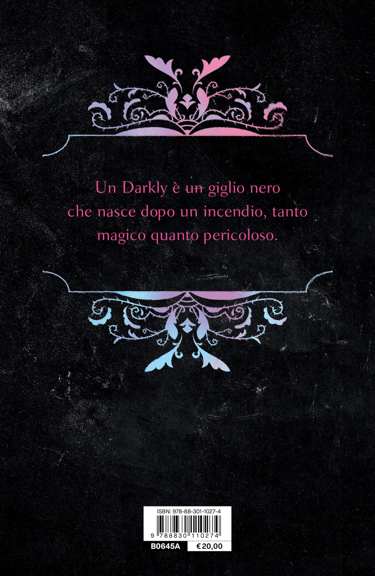 Immagine prodotto 2