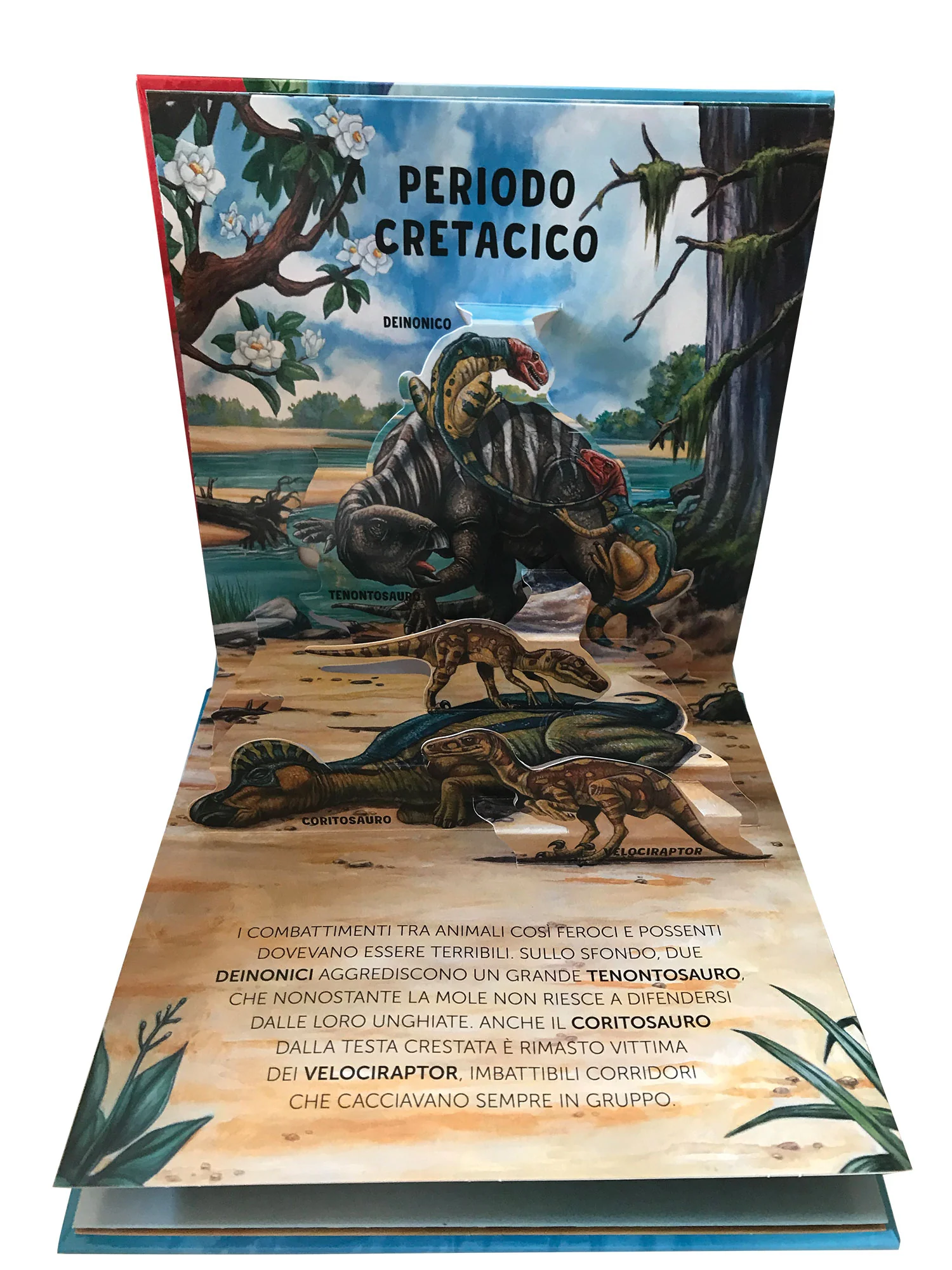 Immagine prodotto 4