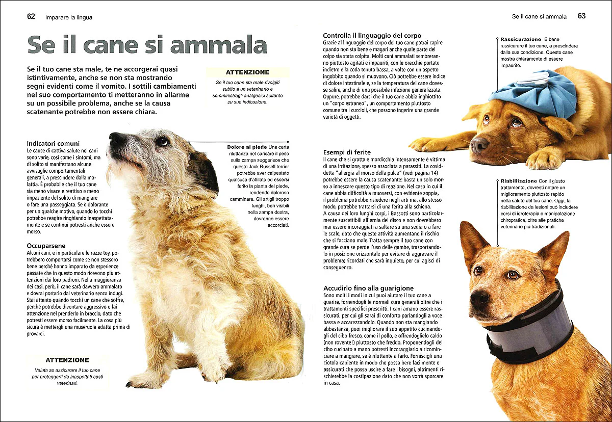 Immagine prodotto 4