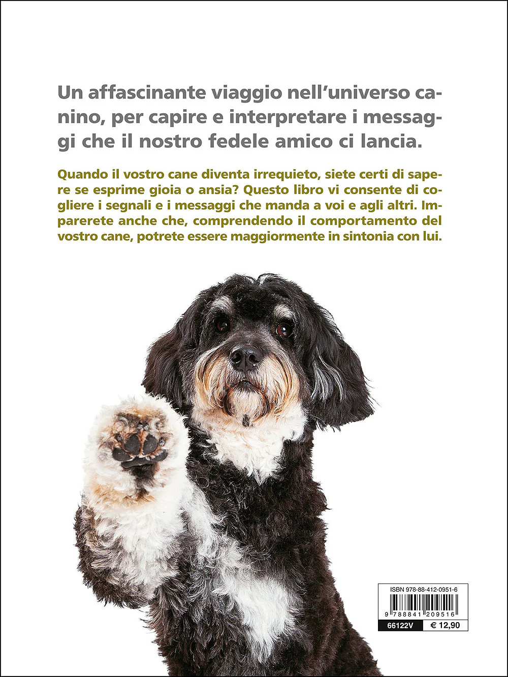 Immagine prodotto 2