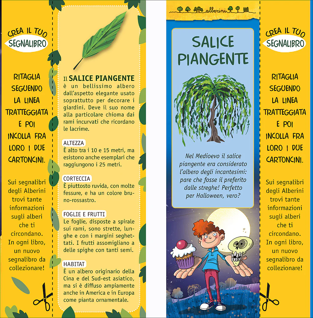 Immagine prodotto 3