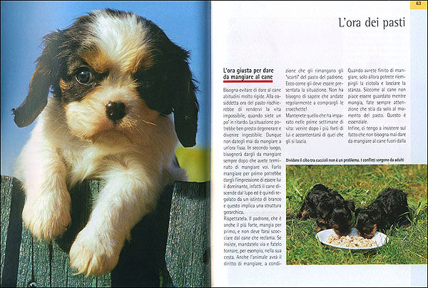 Immagine prodotto 3