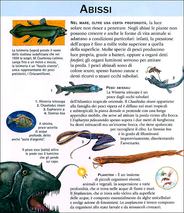 Immagine prodotto 3