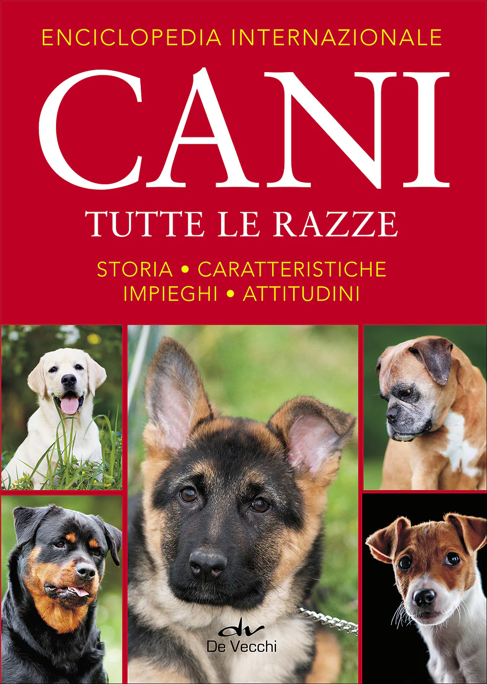 Immagine prodotto 1